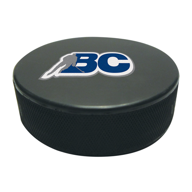 Picture of Viceroy Printable Hockey puck Black 591 100/CS